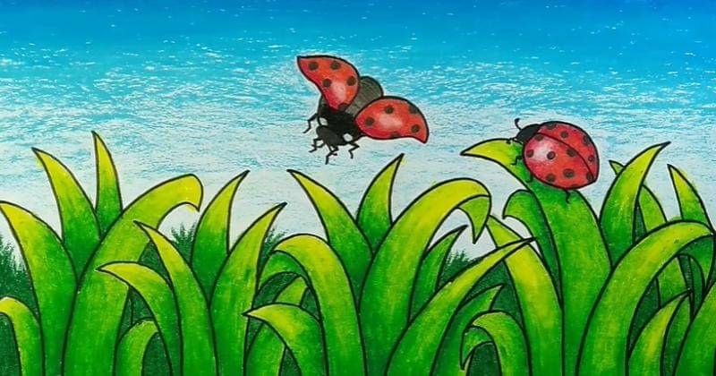 Youtube.com/ORY CHANNEL